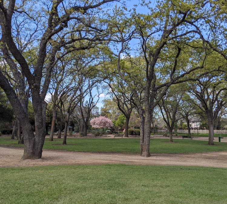 Alamo Creek Park (Vacaville,&nbspCA)